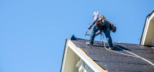 Best Flat Roof Repair Services  in Galls, IN